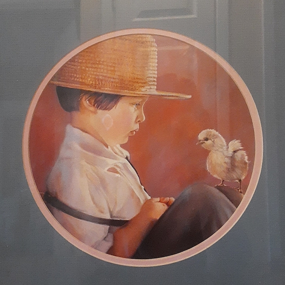 The boy James With A Chick On His Knee Print By Nancy Noel Artist Framed